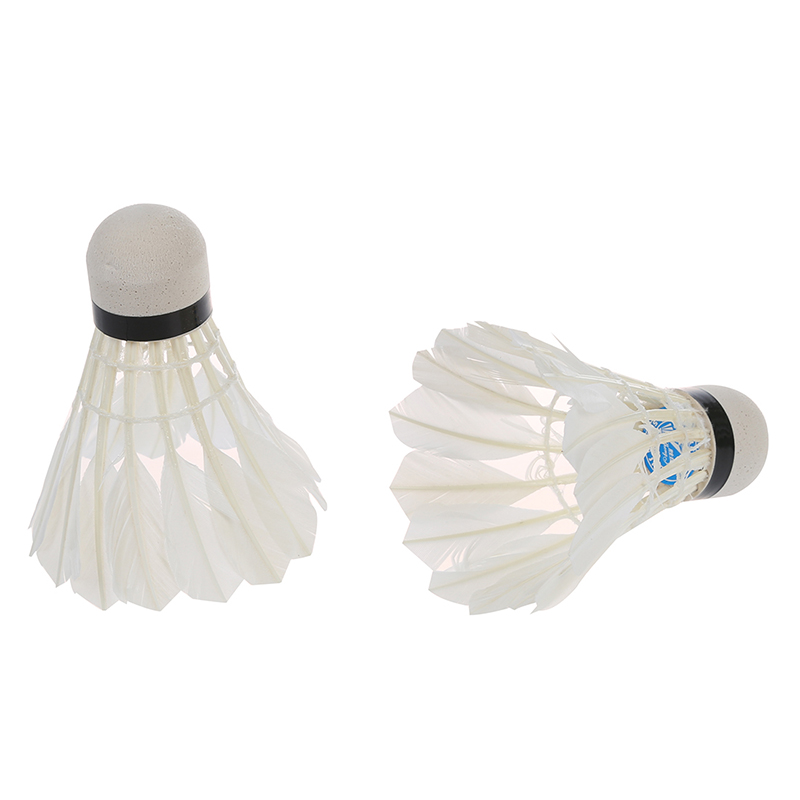 12 Shuttlecocks Birdies Badmin - đánh giá và giá Badminton Shuttlecock