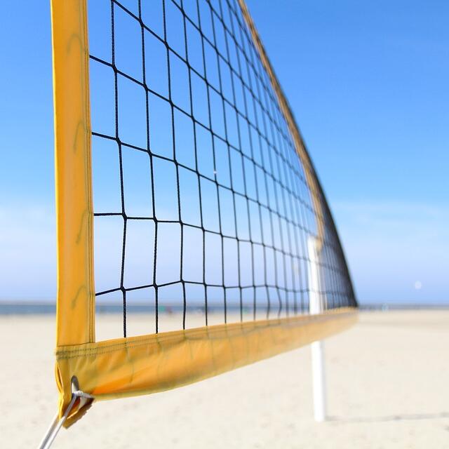 Multi-Purpose Knotted Sports N - đánh giá và giá Badminton Ina