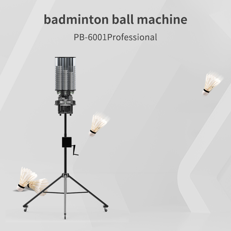 Airo PUNSUN Best Seller Easy C - đánh giá và giá Badminton Ina