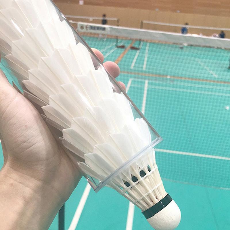 Shuttlecocks Storage Tube Badm - đánh giá và giá Badminton Shuttlecock